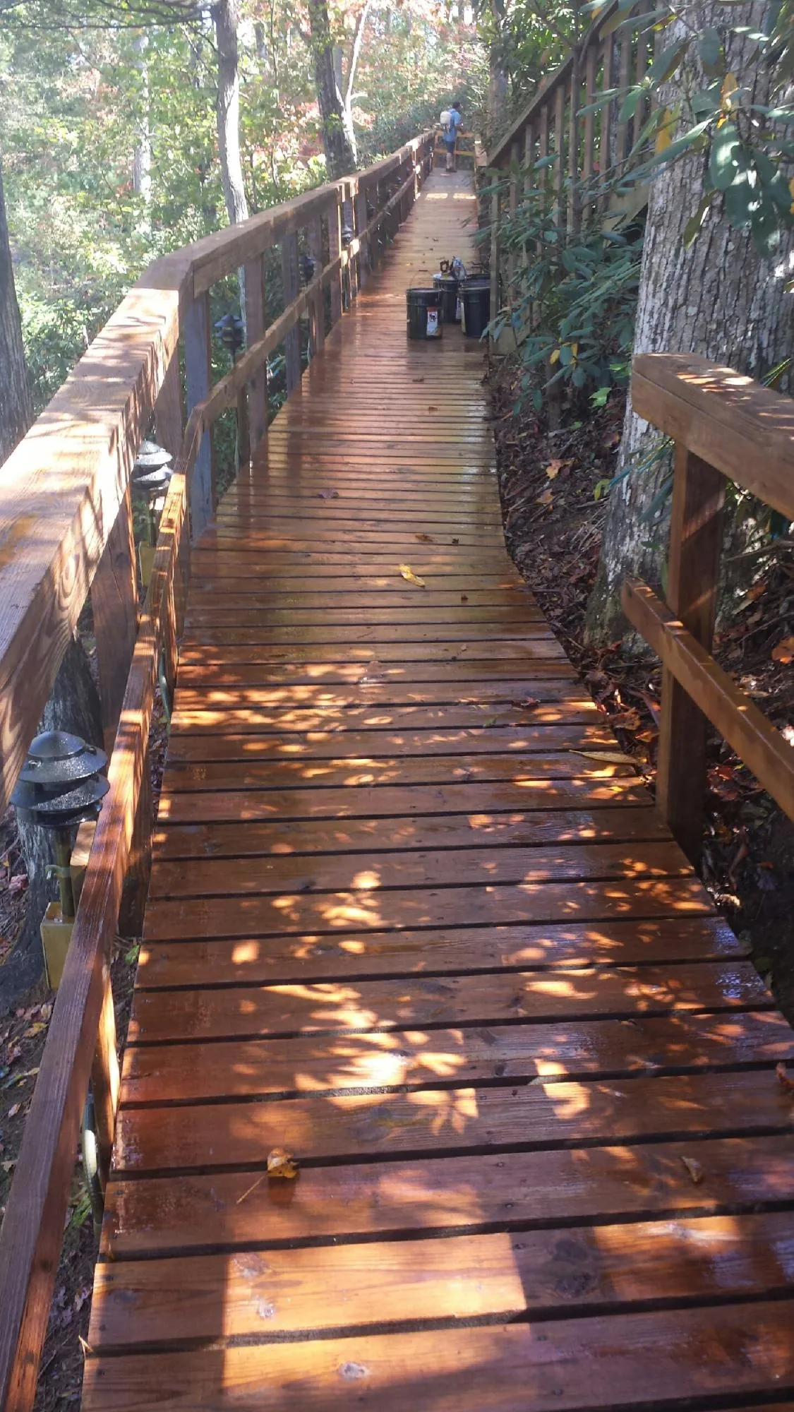 Freshly stained wood walkway winding through the woods in Los Angeles